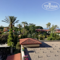 фото из отзыва ID 2030759