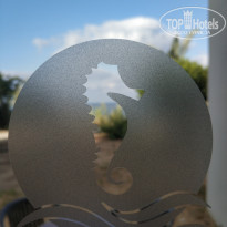 фото из отзыва ID 2030815