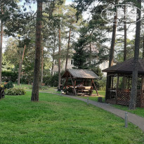 фото из отзыва ID 2030821