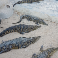 фото из отзыва ID 2030837