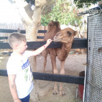 фото из отзыва ID 2030864