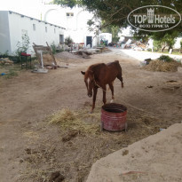 фото из отзыва ID 2030864