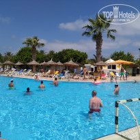 фото из отзыва ID 2030864