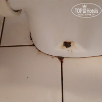 фото из отзыва ID 2030908