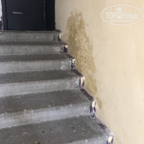 фото из отзыва ID 2030933