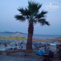 фото из отзыва ID 2030984