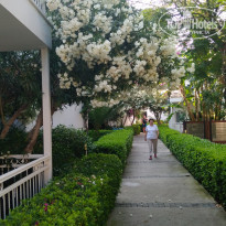 фото из отзыва ID 2030984