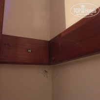 фото из отзыва ID 2030985