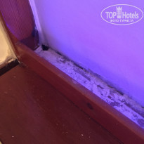 фото из отзыва ID 2030985