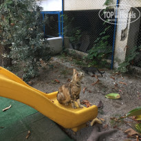 фото из отзыва ID 2030985