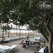 фото из отзыва ID 2031031