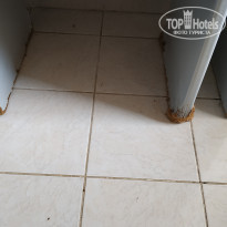 фото из отзыва ID 2031134