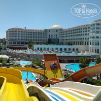 фото из отзыва ID 2031183