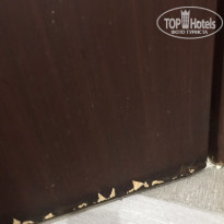 фото из отзыва ID 2031220