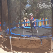 фото из отзыва ID 2031205