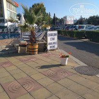 фото из отзыва ID 2031277