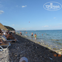 фото из отзыва ID 2031210