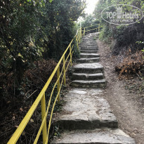 фото из отзыва ID 2031311