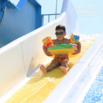 фото из отзыва ID 2031332