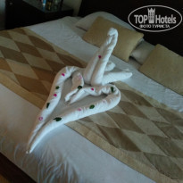 фото из отзыва ID 2031309