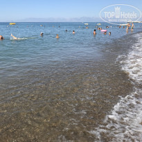 фото из отзыва ID 2031315