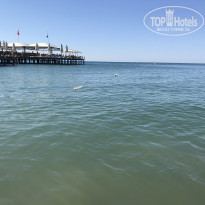 фото из отзыва ID 2031315