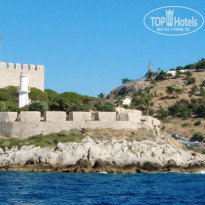 фото из отзыва ID 2031305