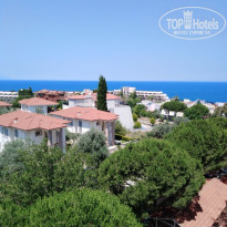 фото из отзыва ID 2031305