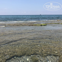 фото из отзыва ID 2031376