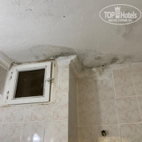 фото из отзыва ID 2031429