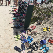 фото из отзыва ID 2031519