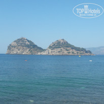 фото из отзыва ID 2031563