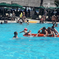 фото из отзыва ID 2031686