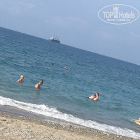 фото из отзыва ID 2031684