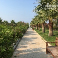 фото из отзыва ID 2031727