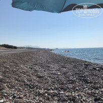 фото из отзыва ID 2031752