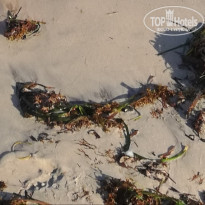 фото из отзыва ID 2031827