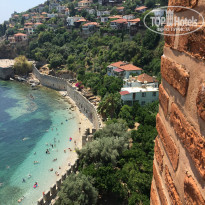 фото из отзыва ID 2031680