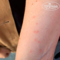 фото из отзыва ID 2031870