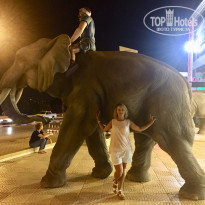 фото из отзыва ID 2031296