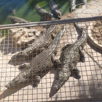 фото из отзыва ID 2031883