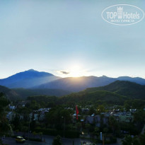 фото из отзыва ID 2031912