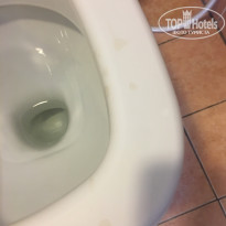 фото из отзыва ID 2031935