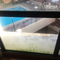 фото из отзыва ID 2031935