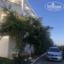 фото из отзыва ID 2031987