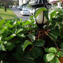 фото из отзыва ID 2032066