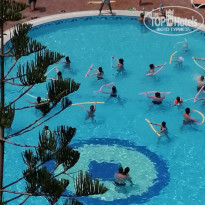 фото из отзыва ID 2032026