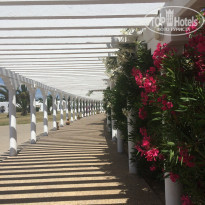 фото из отзыва ID 2032213