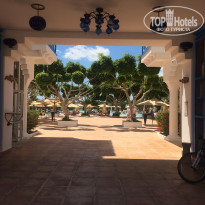 фото из отзыва ID 2032213