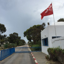 фото из отзыва ID 2032213